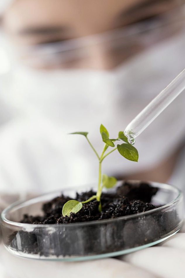 Manufacturing Facility