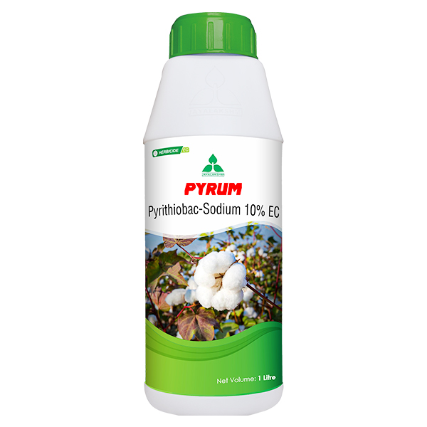 Pyrum