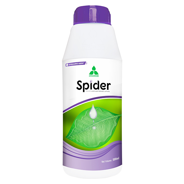 Spider